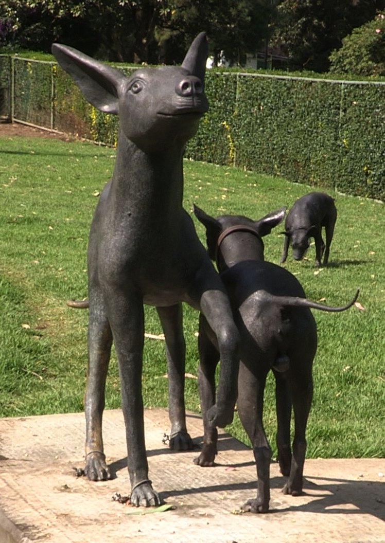 Xoloitzcuintli dog and statue Mexico